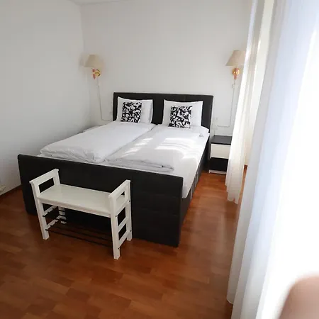 克罗娜酒店 酒店 洛迦诺